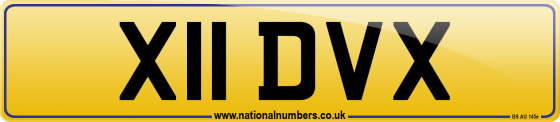 X11 DVX