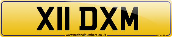 X11 DXM