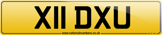 X11 DXU