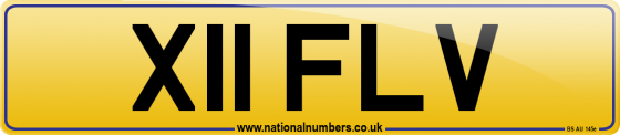 X11 FLV
