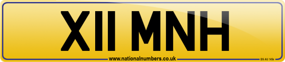 X11 MNH