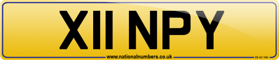 X11 NPY