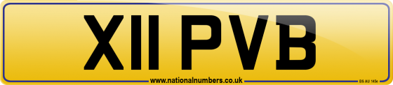 X11 PVB