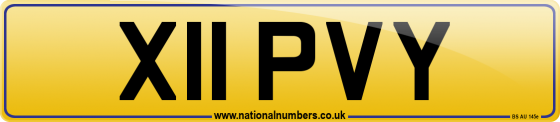 X11 PVY