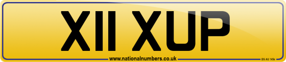 X11 XUP