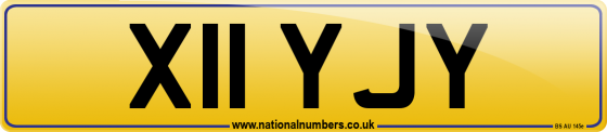 X11 YJY