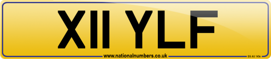 X11 YLF
