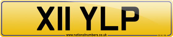 X11 YLP