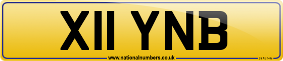 X11 YNB