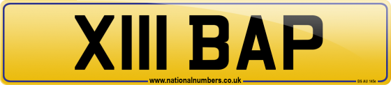X111 BAP
