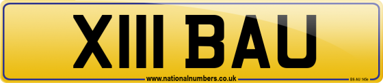 X111 BAU
