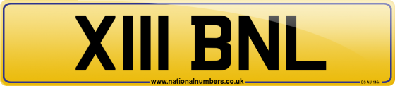 X111 BNL