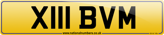 X111 BVM