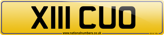 X111 CUO