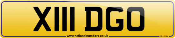 X111 DGO