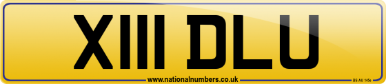 X111 DLU