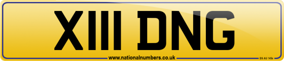 X111 DNG