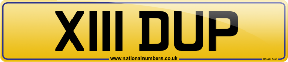 X111 DUP