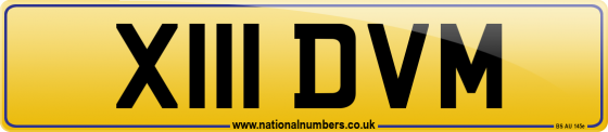 X111 DVM