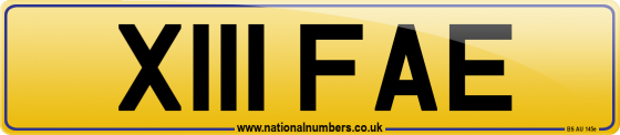 X111 FAE
