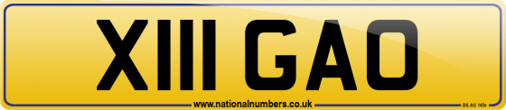 X111 GAO