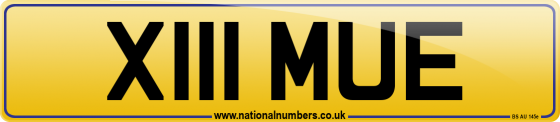 X111 MUE