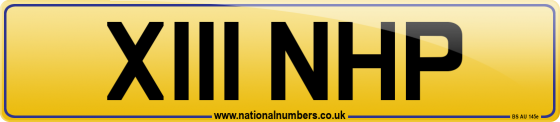 X111 NHP