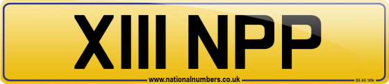 X111 NPP