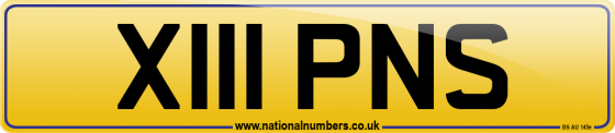 X111 PNS