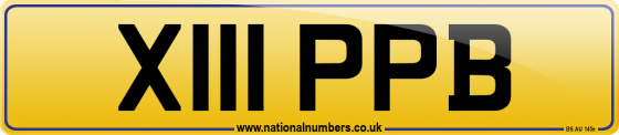 X111 PPB