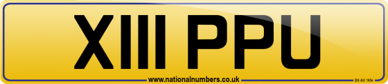 X111 PPU