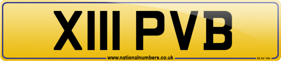X111 PVB