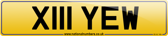 X111 YEW