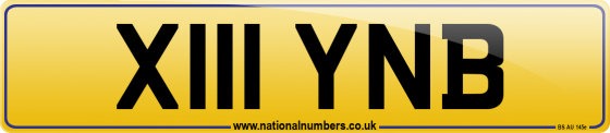 X111 YNB