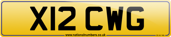 X12 CWG