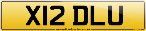 X12 DLU