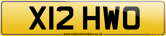 X12 HWO