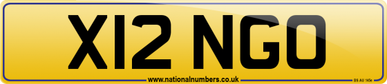 X12 NGO
