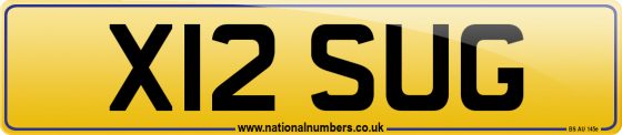 X12 SUG