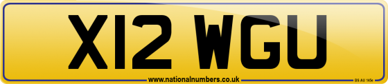 X12 WGU