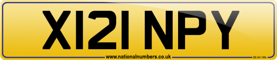 X121 NPY