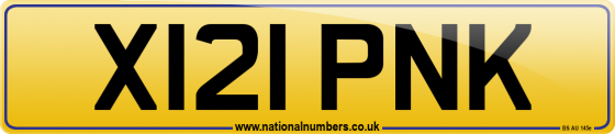 X121 PNK