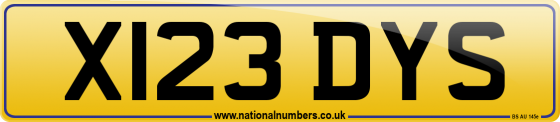 X123 DYS