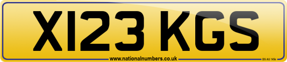 X123 KGS