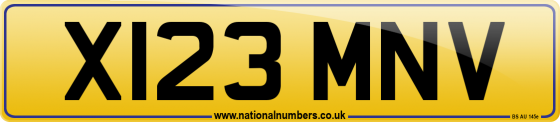 X123 MNV