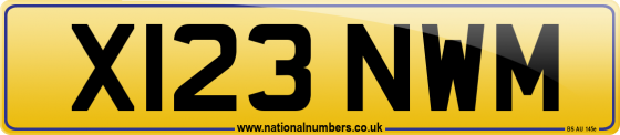 X123 NWM