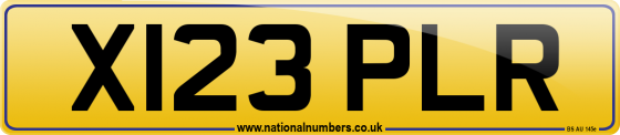 X123 PLR