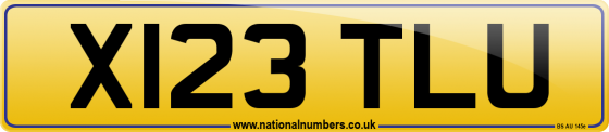 X123 TLU