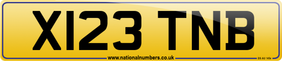 X123 TNB