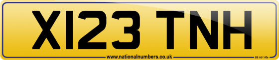 X123 TNH